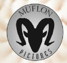 Muflon Pictures